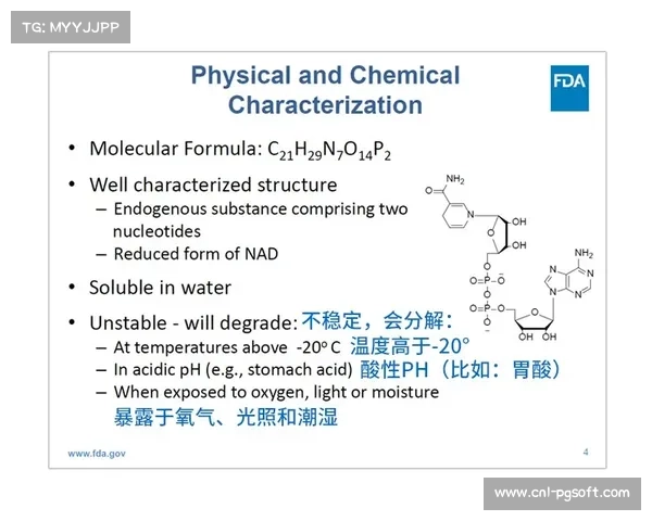 基于技能与时机组合的模型在比赛各阶段表现稳定性研究 基于技能与时机组合的模型在比赛各阶段表现稳定性研究
